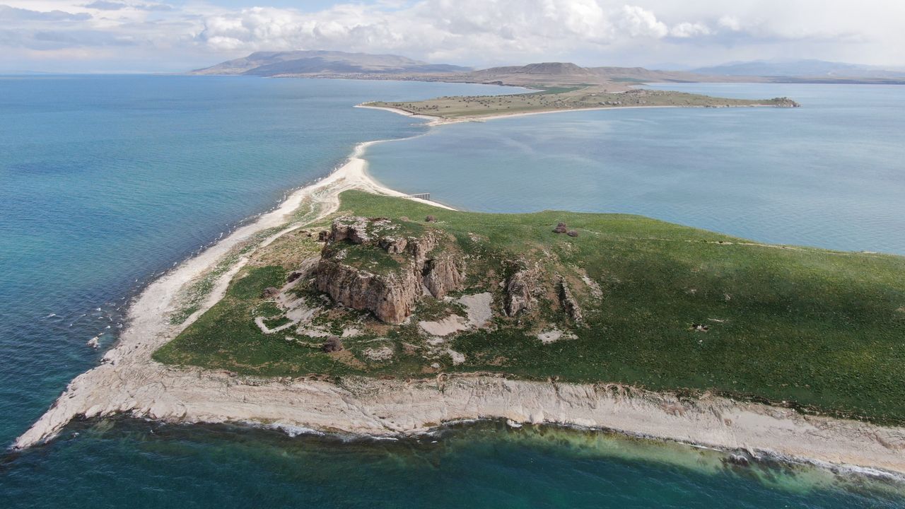 Martıların Üreme Merkezi Çarpanak Adası'na Ziyaretçi Akını