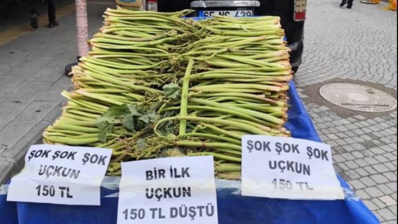 Van’da kilosu 400 TL’ye satılıyordu: Alıcı bulamayınca fiyatlar 150 TL’ye düştü