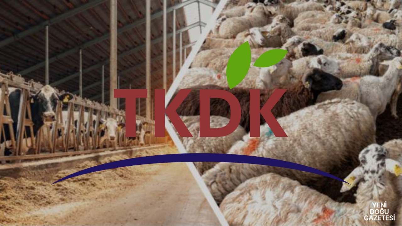 Van’da 44 Hayvancılık Projesine 8,6 Milyon Avro Destek