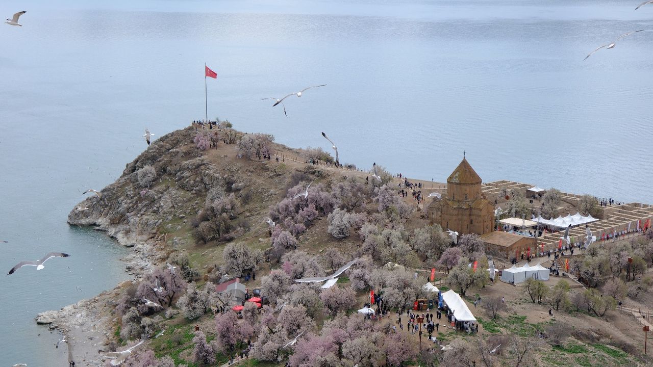 Van Badem Çiçeği Festivali’ne 30 bin kişi katıldı
