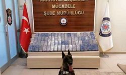 Van polisi ele geçirdiği eroinle