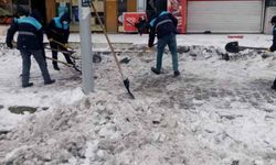 Çaldıran Belediyesinden kaldırım ve çatı temizliği