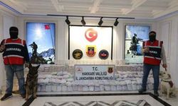 HAKKARİ'DE 482 KİLO EROİN VE 65 KİLO METAMFETAMİN ELE GEÇİRİLDİ
