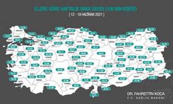 İLLERE GÖRE HAFTALIK VAKA HARİTASI