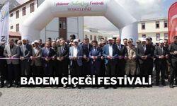 '1. Akdamar Adası Badem Çiçeği Festivali' Kortej Yürüyüşüyle Başladı