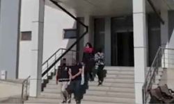 Van'da fuhuş operasyonu
