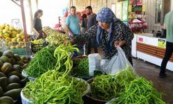 Van'da meyve ve sebze hasadı üreticinin yüzünü güldürdü