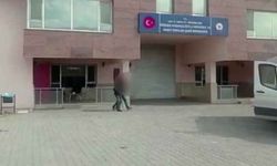 Van’da 6 organizatör tutuklandı