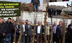 Meyve fidanı dağıtıldı