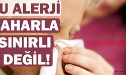 Bu alerji baharla sınırlı değil!