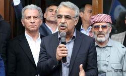 HDP Eş Genel Başkanı Sancar, Bitlis'te konuştu