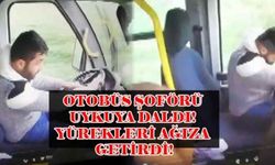 Otobüs şoförü uykuya daldı!