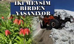 İki mevsim birden yaşanıyor