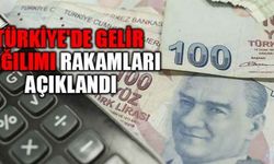 Türkiye'de gelir dağılımı rakamları açıklandı