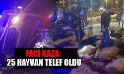 Faci kaza: 25 hayvan telef oldu