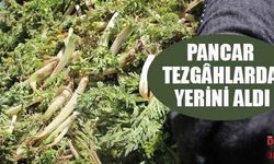 Pancar tezgâhlarda yerini aldı