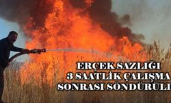 Erçek sazlığı 3 saatlik çalışma sonrası söndürüldü