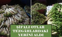 Şifalı otlar tezgâhlardaki yerini aldı