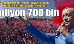 Cumhurbaşkanı Erdoğan, Büyük İstanbul Mitingi'ne katılım sayısını açıkladı: 1 milyon 700 bin