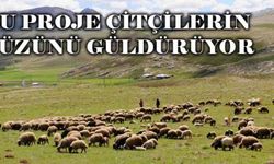 Bu proje çitçilerin yüzünü güldürüyor