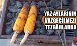 Yaz aylarının vazgeçilmezi tezgâhlarda