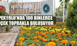 İpekyolu’nda 100 binlerce çiçek toprakla buluşuyor