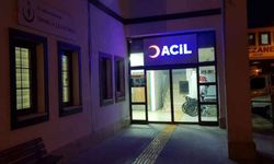 Mantar yedi, yoğun bakımlık oldu!