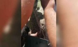 Sondaj kuyusuna düşen çocuk kurtarıldı
