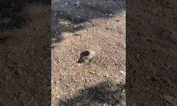 Akdamar bunları hak etmiyor!
