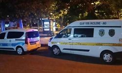 Bekçileri bıçaklayan şahıs öldürüldü!
