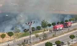 Van'da buğday tarlası alev alev yandı