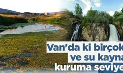 Van'da ki birçok akarsu ve su kaynağı kuruma seviyesinde!