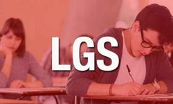 LGS yerleştirme sonuçları açıklandı: LGS tercih sonuçları 2023 MEB sorgulama ekranı!