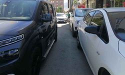 Van'da Çift Sıra Parklar Vatandaşları Bezdiriyor