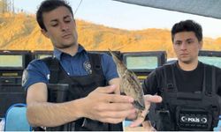 Hakkari'de görev yapan polislerden Balaban Şefkati!