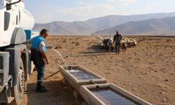 Van'da hayvanlar için tankerlerle su taşındı