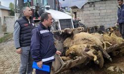 Tuşba'da korkunç manzara!