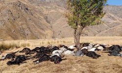 Hakkari'de yıldırım düşmesi korku dolu anlar yaşattı!