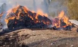 Hakkari'de 20 bin bağ ot kül oldu