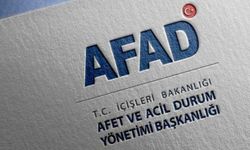 E-Devlet'ten öğrenemeyenler bu yöntemi denemeli: AFAD hak sahipliği başvuru sonuçları 2023