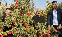 İran'dan Hakkari'ye Hakkari'den dünyaya!