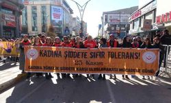 Van’da kadına yönelik şiddete karşı farkındalık etkinliği