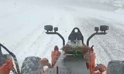 Tendürek geçidi trafiğe kapatıldı!