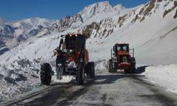 Van-Bahçesaray yolu ulaşıma açıldı