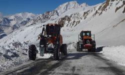  Van-Bahçesaray yolu çığ riskine karşı kapatıldı!