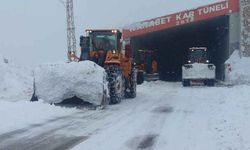 Van Bahçesaray yolu ulaşıma açıldı