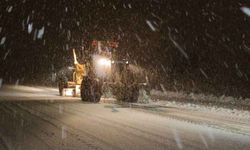 Van’da 492 yerleşim yerinin yolu ulaşıma kapandı