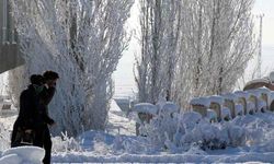 Van'da hava sıcaklıkları arttı 