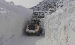 Meteoroloji'den uyarı: Çığ ve buzlanma tehlikesi sürüyor 