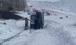 Muş’ta ekipler yolu kapanan köylerdeki hastalar için seferber oldu